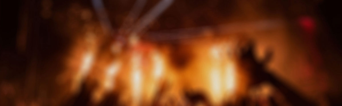 Search for IT Software on this site